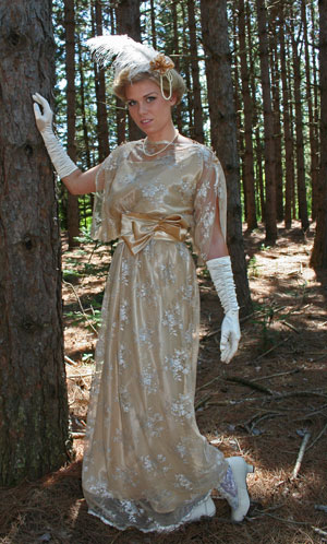 Ladies Edwardian Downton Abbey Titanic Gown Size 12 - 14 Image